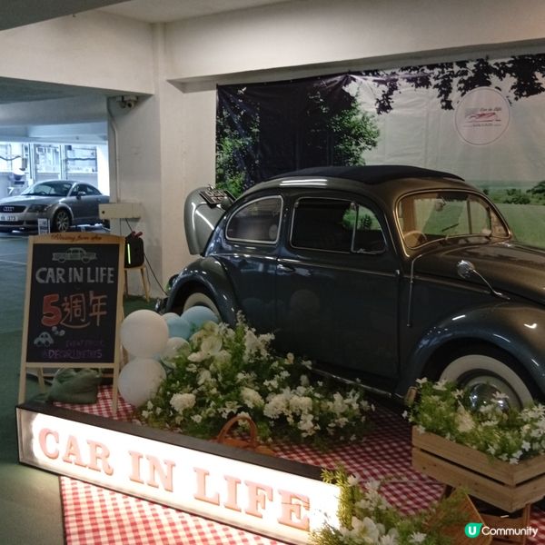 老爺車展🏎️！經典車迷必去！😎 懷舊打卡📸！