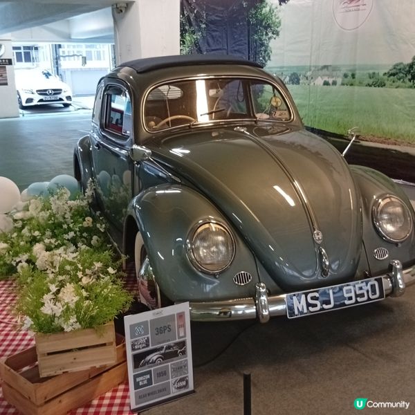 老爺車展🏎️！經典車迷必去！😎 懷舊打卡📸！