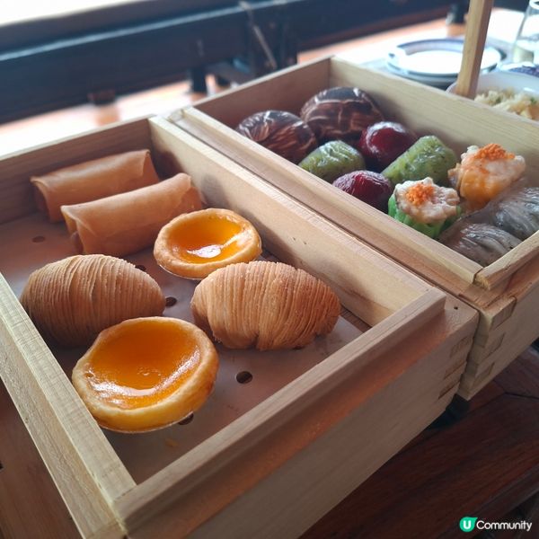 張保仔號點心遊💯豪華體驗😋 點心超正🚢