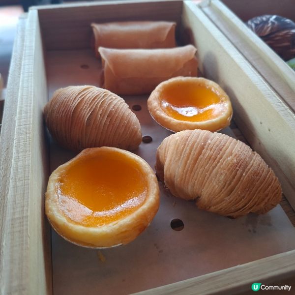 張保仔號點心遊💯豪華體驗😋 點心超正🚢