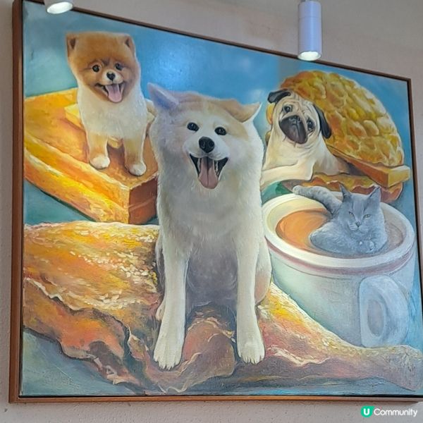 北角必吃<美食天堂>餐廳😋