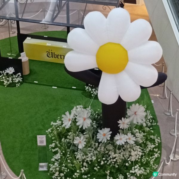 GD藝術展登港！🤩 沉浸式體驗等你嚟！🎨 