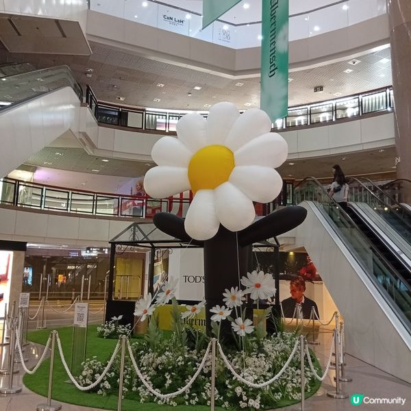 GD藝術展登港！🤩 沉浸式體驗等你嚟！🎨 