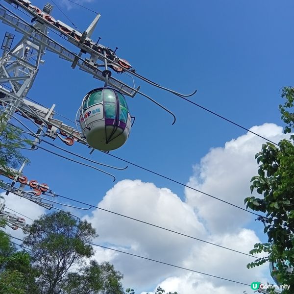 海洋公園一日遊！童年回憶返晒嚟。🥳乘搭䌫車放鬆身心。