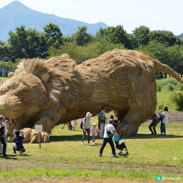 稻草藝術祭開鑼！新潟幻獸等你嚟睇🤩🌾