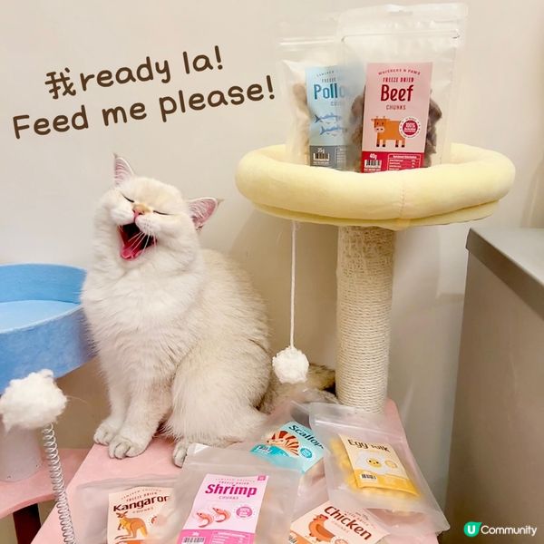 Whiskers N Paws「寵物零食套裝」