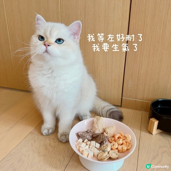 Whiskers N Paws「寵物零食套裝」