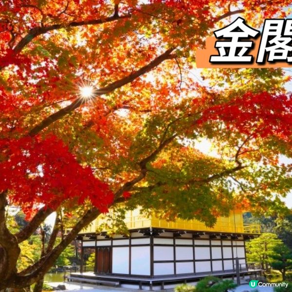 🇯🇵京都5個紅葉必去景點🍁
