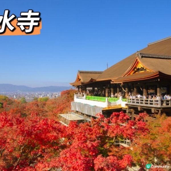 🇯🇵京都5個紅葉必去景點🍁