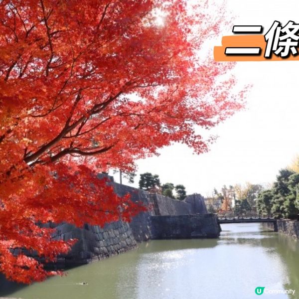 🇯🇵京都5個紅葉必去景點🍁