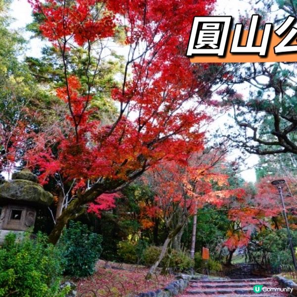 🇯🇵京都5個紅葉必去景點🍁
