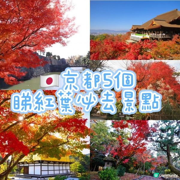 🇯🇵京都5個紅葉必去景點🍁
