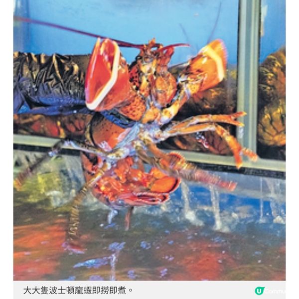 台北12道菜Omakase海鮮火鍋$400食盡龍蝦和牛海