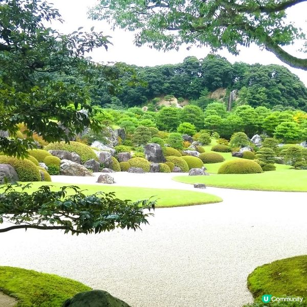足立美術館，名園藝術之旅！🤩 庭園靚到震！