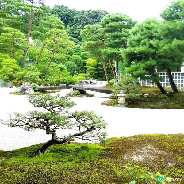 足立美術館，名園藝術之旅！🤩 庭園靚到震！