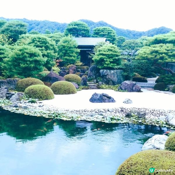 足立美術館，名園藝術之旅！🤩 庭園靚到震！