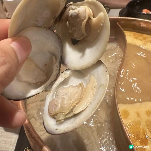  【高質火鍋放題🍲🩷任食高質日本A4黑毛和牛🐮🥩