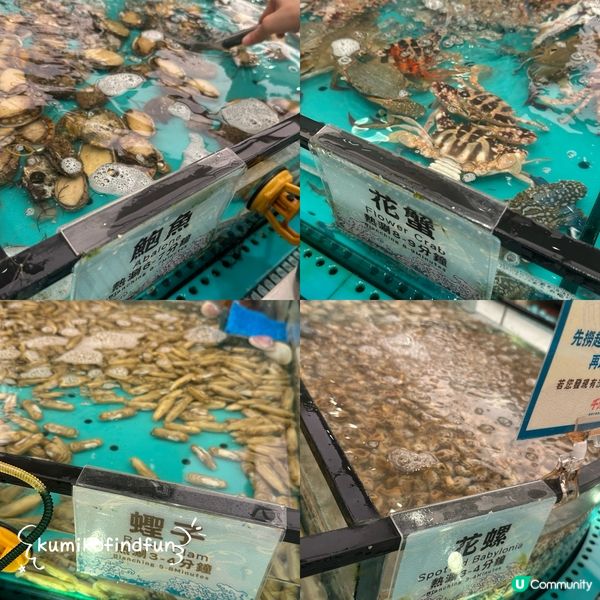 千海水產放題！海鮮控必去🤤🦀🔥