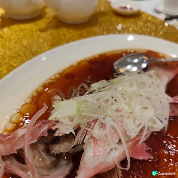 力寶軒商務套餐🤤！鵝肝鵝肉超正！