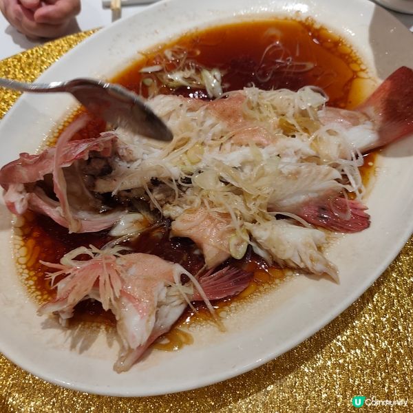 力寶軒商務套餐🤤！鵝肝鵝肉超正！