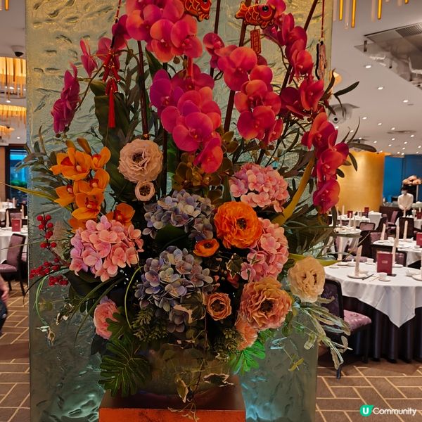 力寶軒商務套餐🤤！鵝肝鵝肉超正！