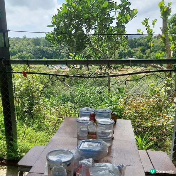 今日鹽田梓一日遊！清酒工作坊超正！🥳 快D入嚟玩下啦！