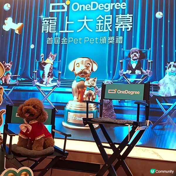 毛孩盛典！四色雪糕🍟金頒獎禮