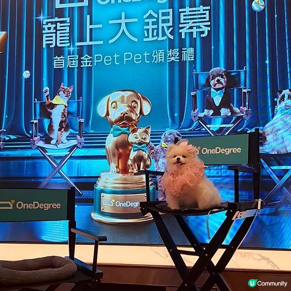 毛孩盛典！四色雪糕🍟金頒獎禮