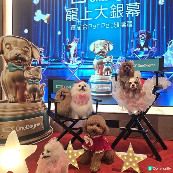 毛孩盛典！四色雪糕🍟金頒獎禮