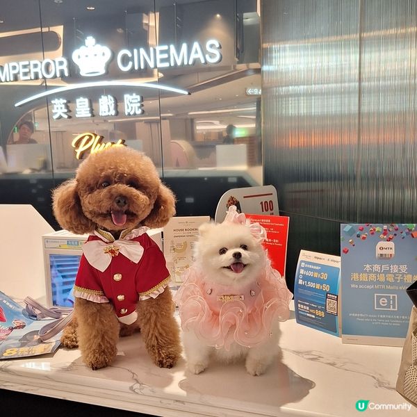 毛孩盛典！四色雪糕🍟金頒獎禮