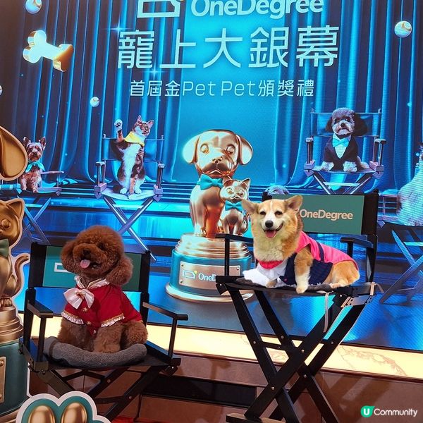 毛孩盛典！四色雪糕🍟金頒獎禮