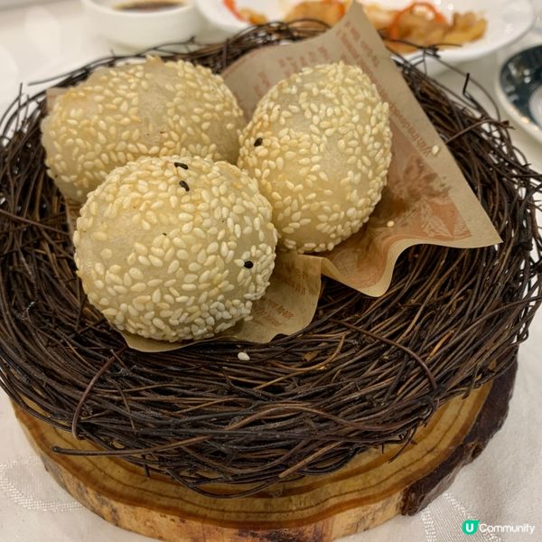 尖咀凱薈飲茶記 😋 芋泥菠蘿包必食！ 💯