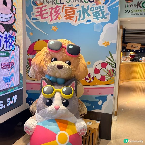 毛孩夏水戰🌊！葵興商場等你嚟玩🥳！