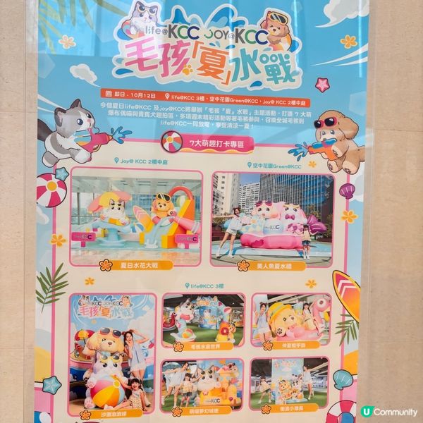 毛孩夏水戰🌊！葵興商場等你嚟玩🥳！