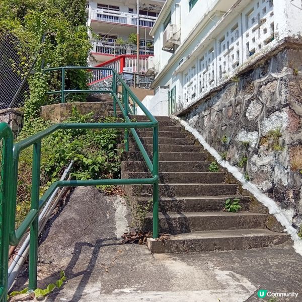 秋日行山樂！榕樹灣北角村親子行山遊🏞️🌊☀️