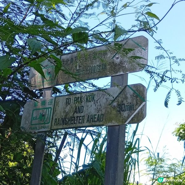 秋日行山樂！榕樹灣北角村親子行山遊🏞️🌊☀️