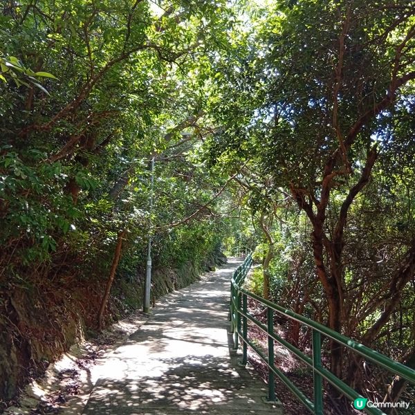 秋日行山樂！榕樹灣北角村親子行山遊🏞️🌊☀️