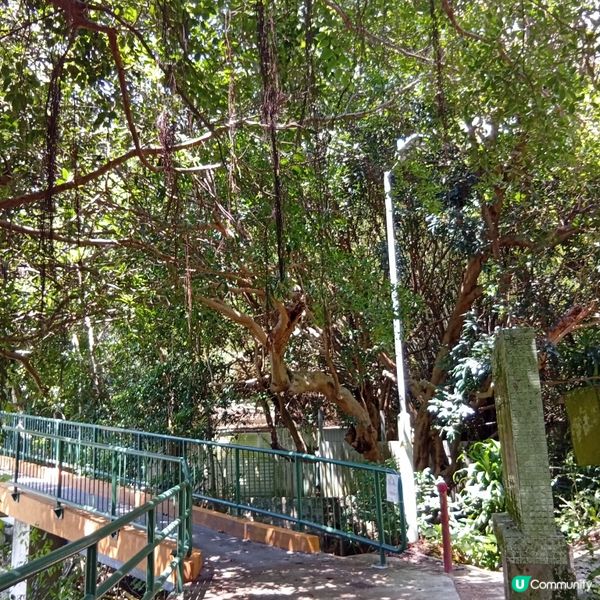 秋日行山樂！榕樹灣北角村親子行山遊🏞️🌊☀️