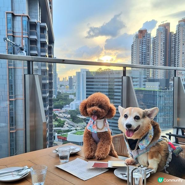 今日薯仔生日快樂🥳！啟德夜景西日盛宴！