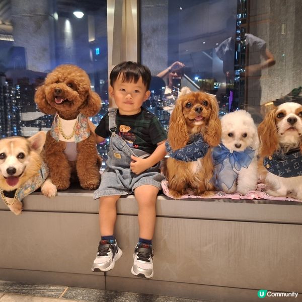 今日薯仔生日快樂🥳！啟德夜景西日盛宴！