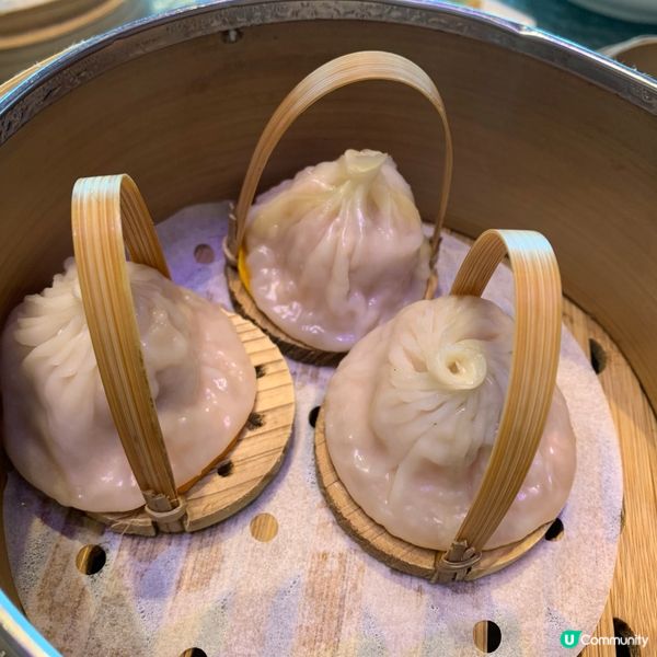 灣仔薈軒嘆茶🍵！精緻中式點心😋，超滿足！ #下午茶