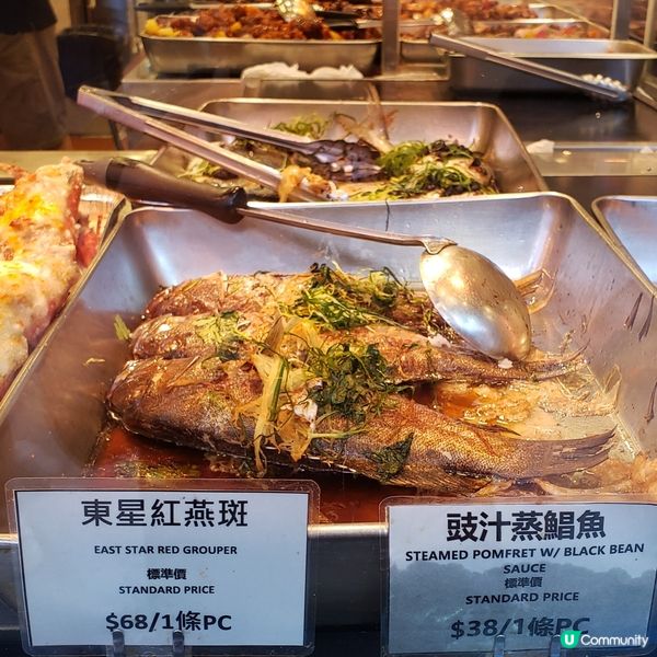 🦀🦞🦐彌敦道兩餸飯大比拼！邊間最抵食？😋