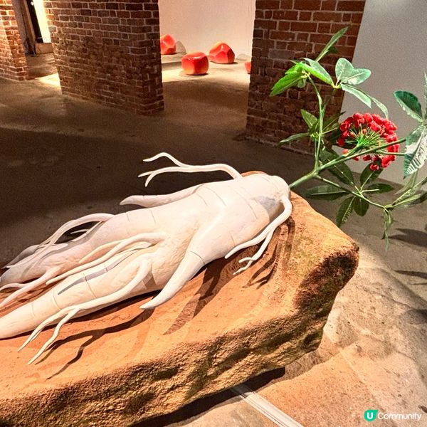 香港/北角油街藝術展：花園之旅🌿！免費入場！