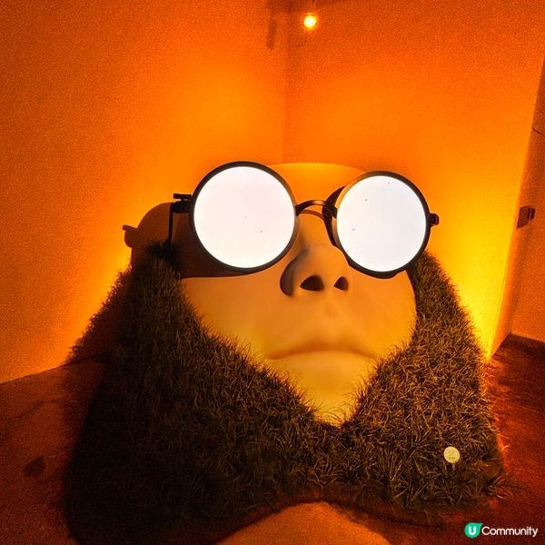 香港/北角油街藝術展：花園之旅🌿！免費入場！