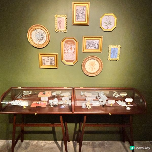 香港/北角油街藝術展：花園之旅🌿！免費入場！