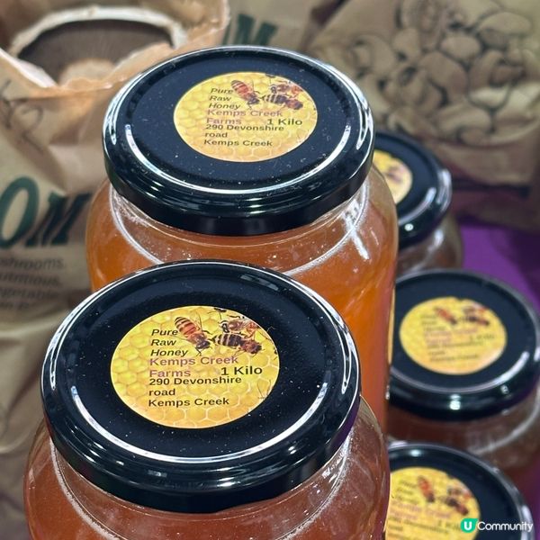 悉尼周末市集掃貨記！🍊🍯😋 買到停唔到手！