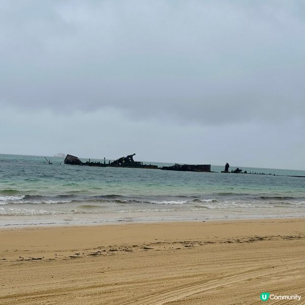 澳洲Brisbane摩頓島