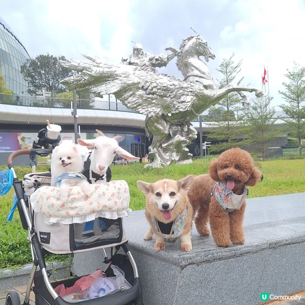 中秋帶毛孩去邊？西九嘉年華！🐶🌕