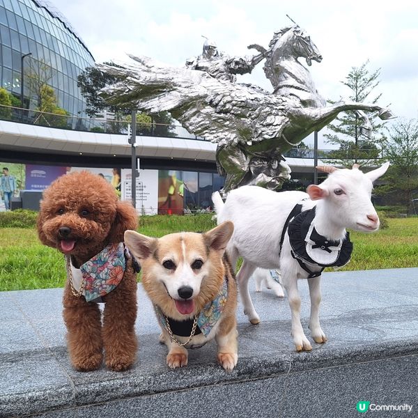 中秋帶毛孩去邊？西九嘉年華！🐶🌕