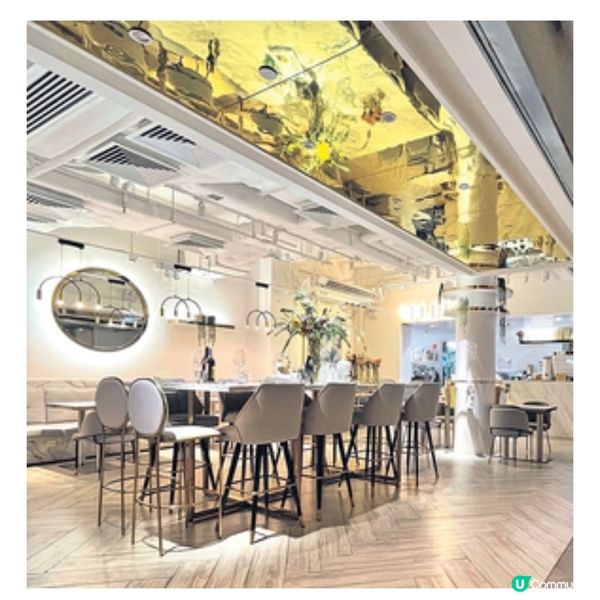 狗隻日後可進入餐廳3間寵物友善餐廳之選